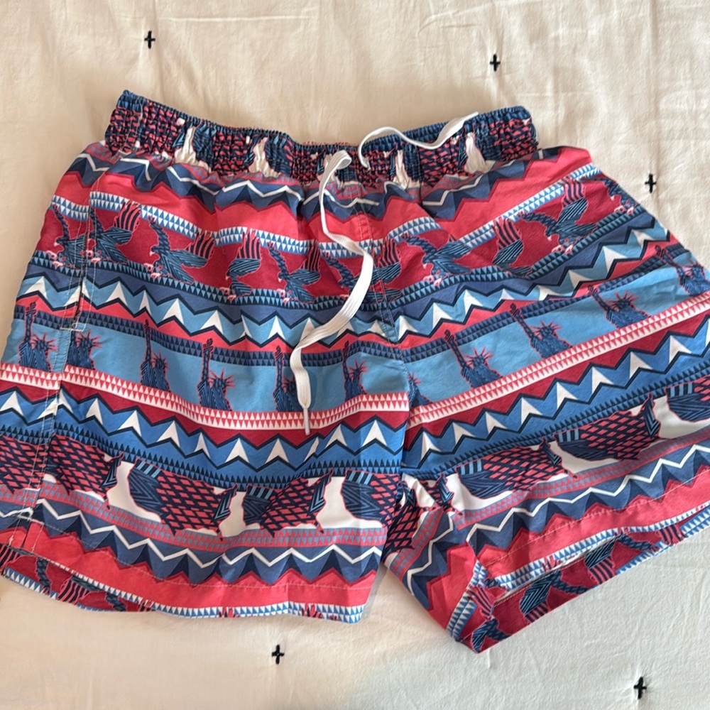 Chubbies Swimwear size LRG